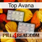 Top Avana 17